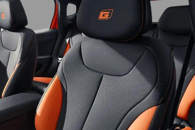 Byd Dolphin G Hatchback 1.5 Phev Dm-I Sport Auto close up